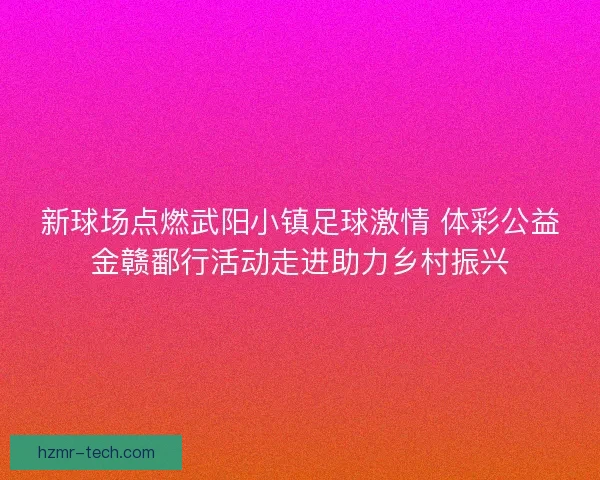 新球场点燃武阳小镇足球激情 体彩公益金赣鄱行活动走进助力乡村振兴