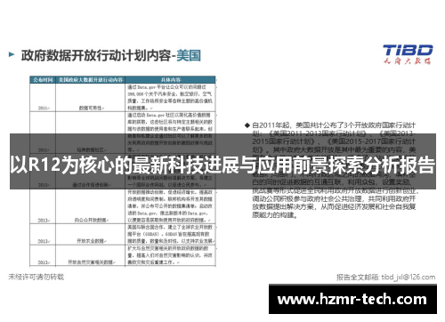 以R12为核心的最新科技进展与应用前景探索分析报告